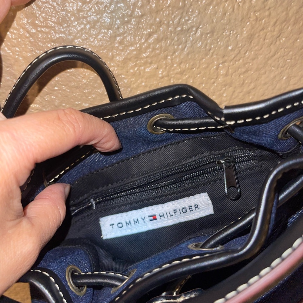 Tommy - Picture 5 of 7